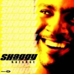 Shaggy